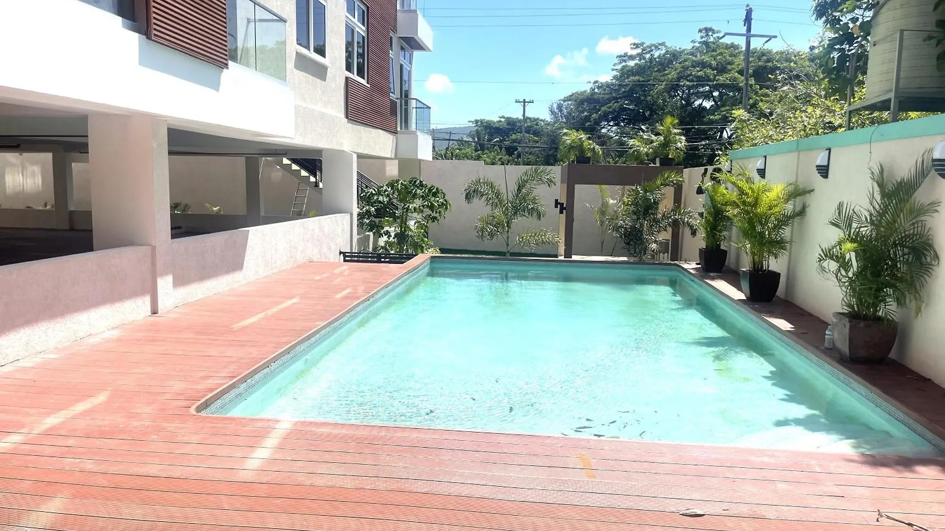 Liguanea -One Bedroom Oasis Near Us Embassy Kingston Apartment
